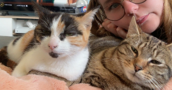 noemie pet sitter à TROSLY BREUIL 60350_3