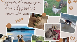 melissa pet sitter à BORGO 20290_0