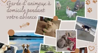 melissa pet sitter à BORGO 20290