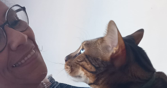 hafida pet sitter à VILLENEUVE SUR LOT 47300_0