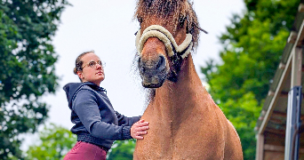 melissa pet sitter à Plabennec 29860_4