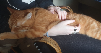 emma pet sitter à BESANCON 25000_0