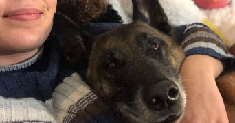 nadi pet sitter à CAEN 14000_1