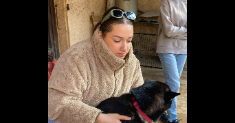 nour pet sitter à VALLABREGUES 30300_0