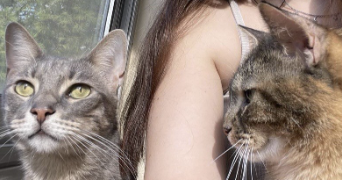 alison pet sitter à LA GARDE 83130_1