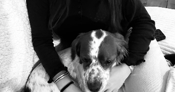 lise pet sitter à POITIERS 86000_1