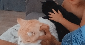 aurélie pet sitter à Dreux 28100_8