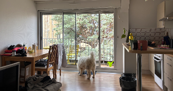 anna pet sitter à POITIERS 86000_2