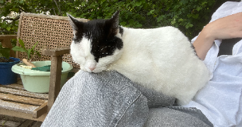 solene pet sitter à LES VANS 07140_1