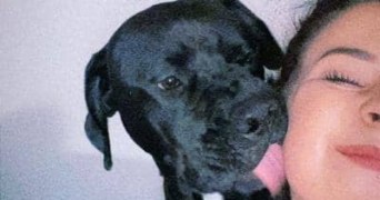 chloë pet sitter à LA SEYNE SUR MER 83500_9