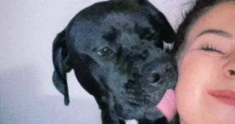 chloë pet sitter à LA SEYNE SUR MER 83500