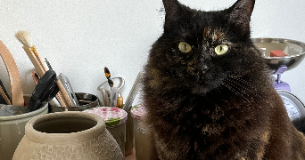 léa  pet sitter à Saint-Emilion 33330_1