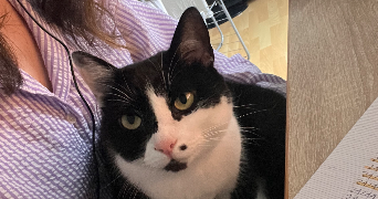 audrey pet sitter à LORIENT 56100_2