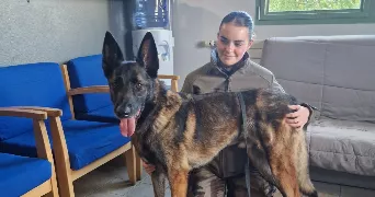 marine pet sitter à BOURG LA REINE 92340