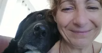 corinne dog sitter à LABASTIDETTE 31600