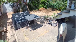 muriel pet sitter à MARSEILLE 08 13008