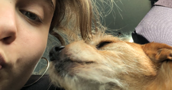 lisa pet sitter à TOULOUSE 31000_2