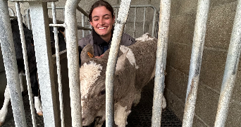 manon pet sitter à NORT SUR ERDRE 44390_3