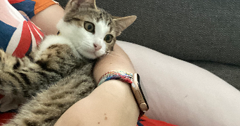 Sarah pet sitter à Épinay-sur-Seine 93800_0