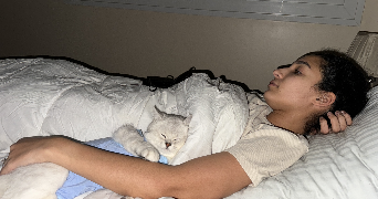 ismahane pet sitter à FRANCONVILLE 95130_1