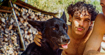 arthur pet sitter à BREST 29200_0