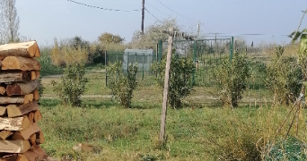 claire pet sitter à STE MARIE LA MER 66470_2