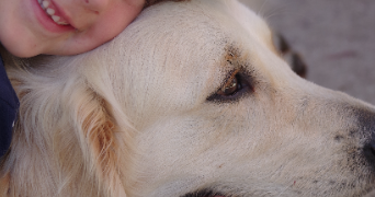 marine pet sitter à TREGUNC 29910_2