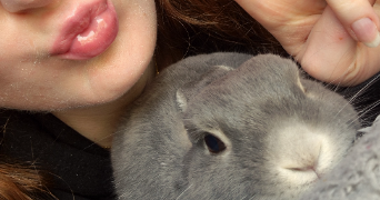 camille pet sitter à LYON 06 69006_6