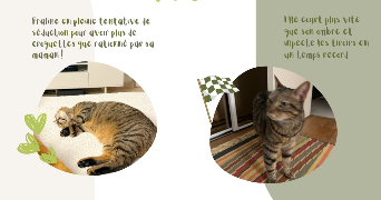 manuella pet sitter à PARIS 05 75005_5