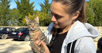 nathalie pet sitter à BOIS COLOMBES 92270_5