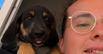 melissa pet sitter à Plabennec 29860_6