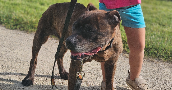 marlene pet sitter à AUNEAU BLEURY ST SYMPHORIEN 28700_78
