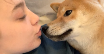 jeanne pet sitter à LILLE 59800_8