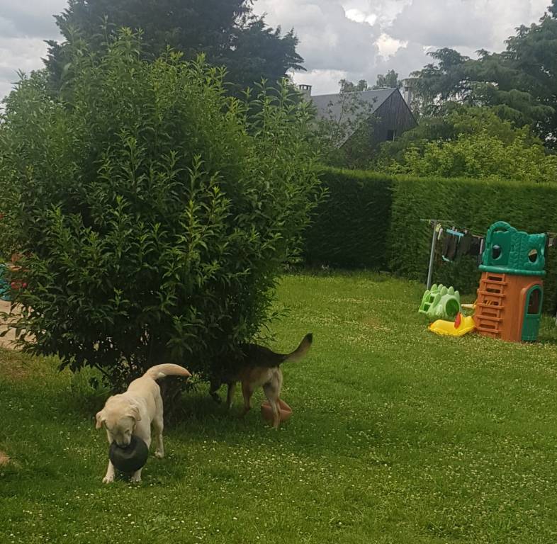 jennifer pet sitter à Marcilly-la-Campagne 27320_1