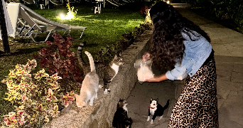 erika pet sitter à LEVALLOIS PERRET 92300_1