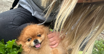 eva pet sitter à BIDART 64210_2