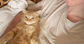 lou-ann pet sitter à AUTIGNY LA TOUR 88300_3