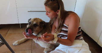 marion pet sitter à Nice 06000_1