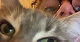 léa pet sitter à POITIERS 86000_1