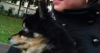 Sandra  dog sitter à MESSY 77410_1