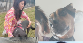 jennifer pet sitter à VILLALIER 11600_3