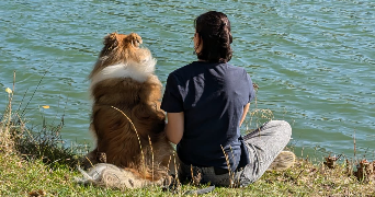 dochez pet sitter à AURILLAC 15000_0