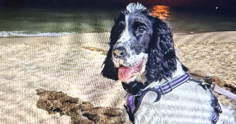 solène pet sitter à PARIS 18 75018_2