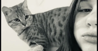 eva pet sitter à VOUTRE 53600_5