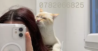 camille pet sitter à ST ARNOULT EN YVELINES 78730