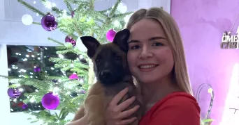 lucie pet sitter à MIETESHEIM 67580