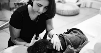 juliette pet sitter à GRADIGNAN 33170