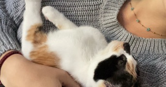 léa pet sitter à FREJUS 83600_2