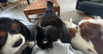 emie pet sitter à LUCENAY 69480_1