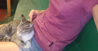 théodora pet sitter à WINTZENHEIM 68920_7